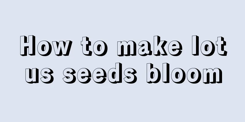 How to make lotus seeds bloom