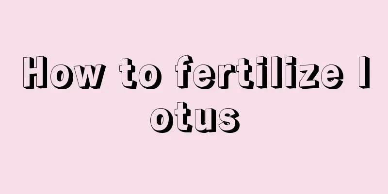 How to fertilize lotus