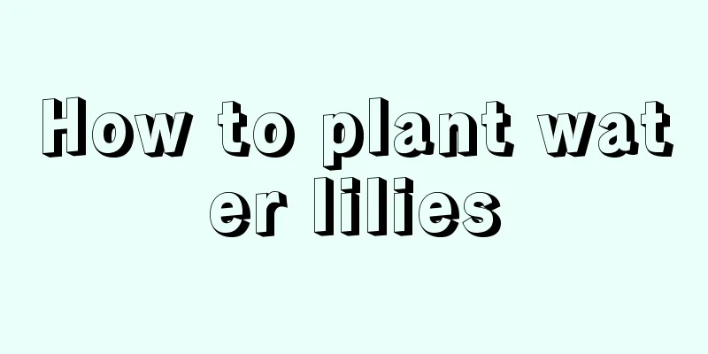 How to plant water lilies