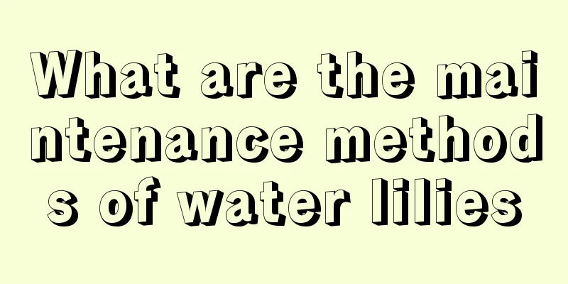 What are the maintenance methods of water lilies