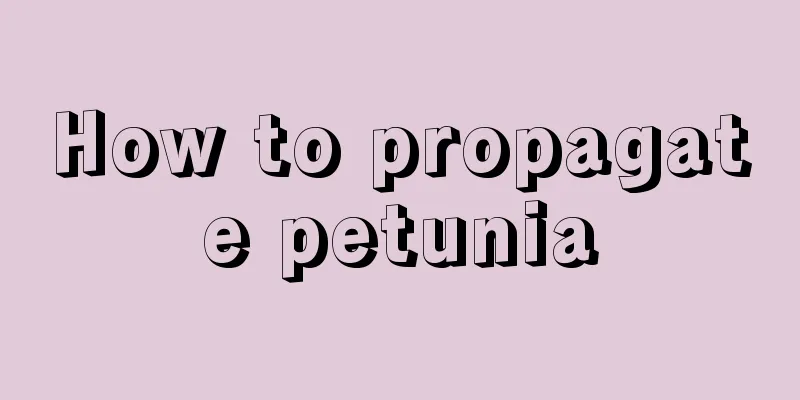 How to propagate petunia