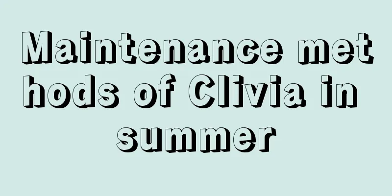 Maintenance methods of Clivia in summer