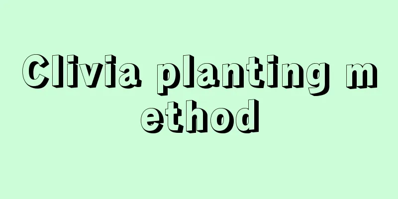 Clivia planting method