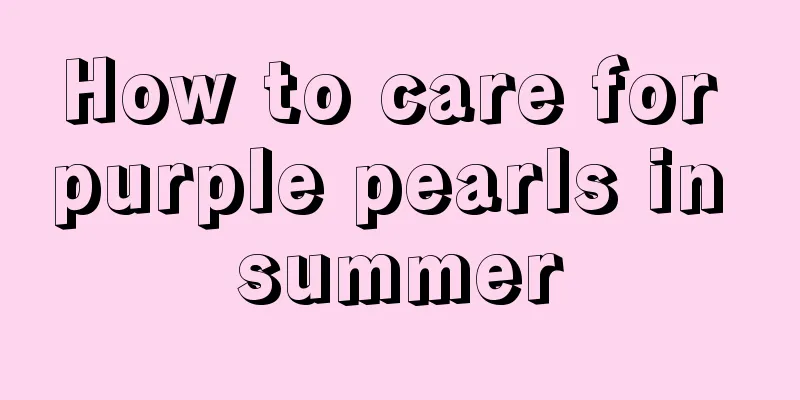 How to care for purple pearls in summer