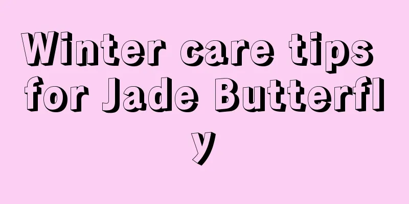 Winter care tips for Jade Butterfly