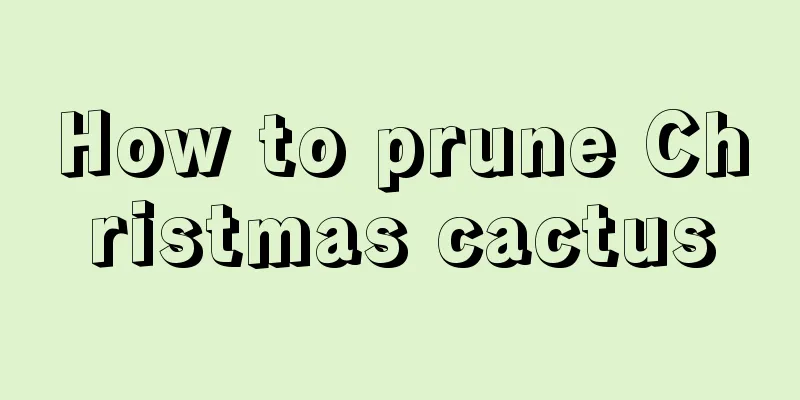 How to prune Christmas cactus