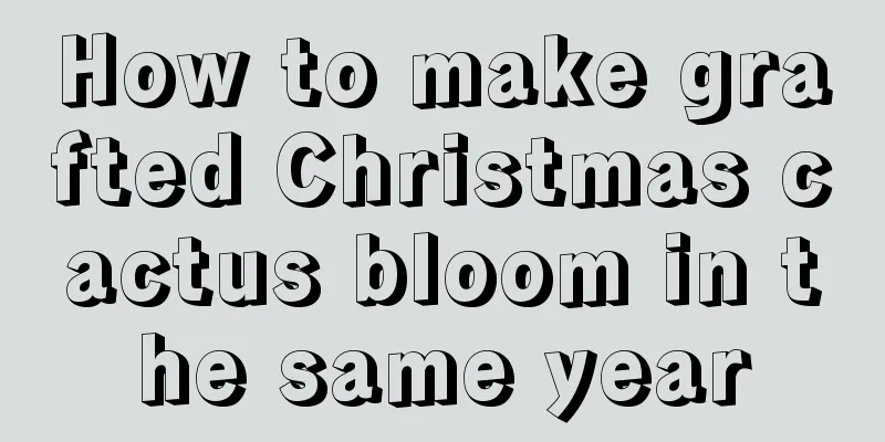 How to make grafted Christmas cactus bloom in the same year