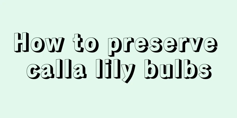 How to preserve calla lily bulbs