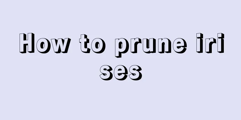 How to prune irises