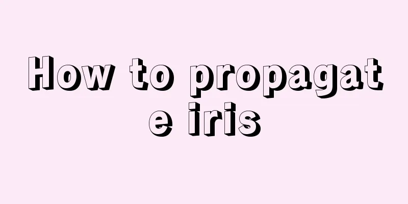 How to propagate iris