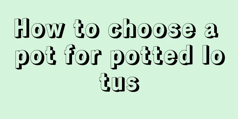 How to choose a pot for potted lotus