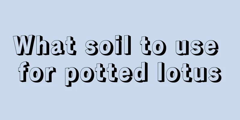 What soil to use for potted lotus