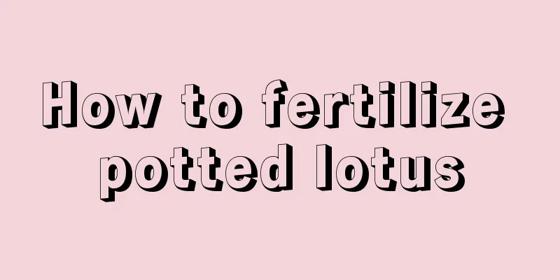 How to fertilize potted lotus