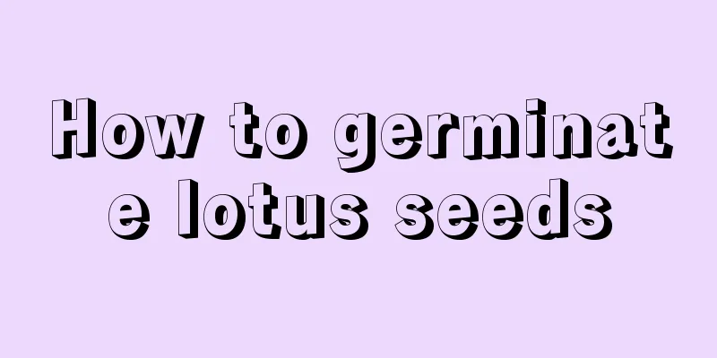 How to germinate lotus seeds