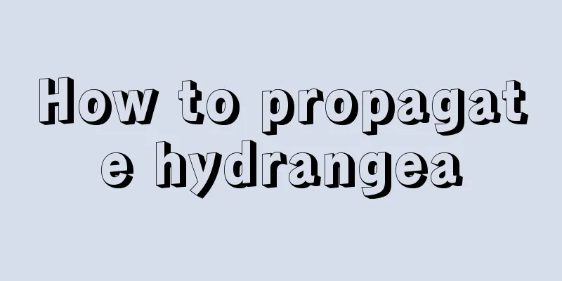 How to propagate hydrangea