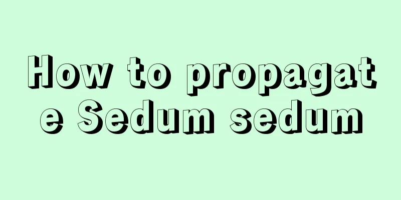 How to propagate Sedum sedum