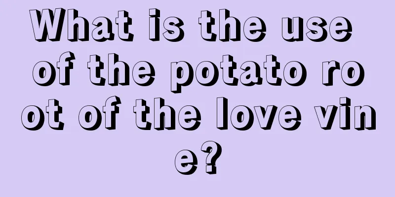 What is the use of the potato root of the love vine?