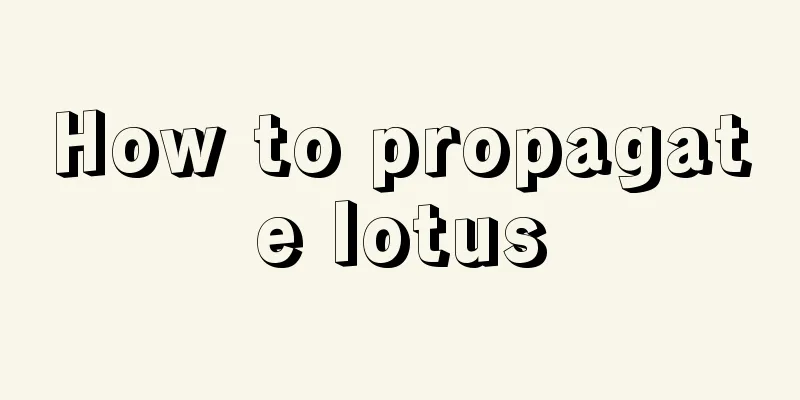 How to propagate lotus