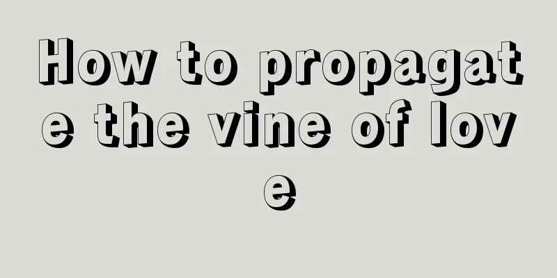 How to propagate the vine of love