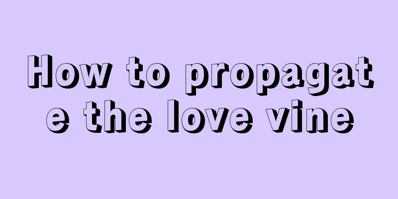 How to propagate the love vine