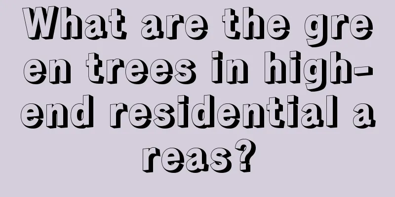 What are the green trees in high-end residential areas?