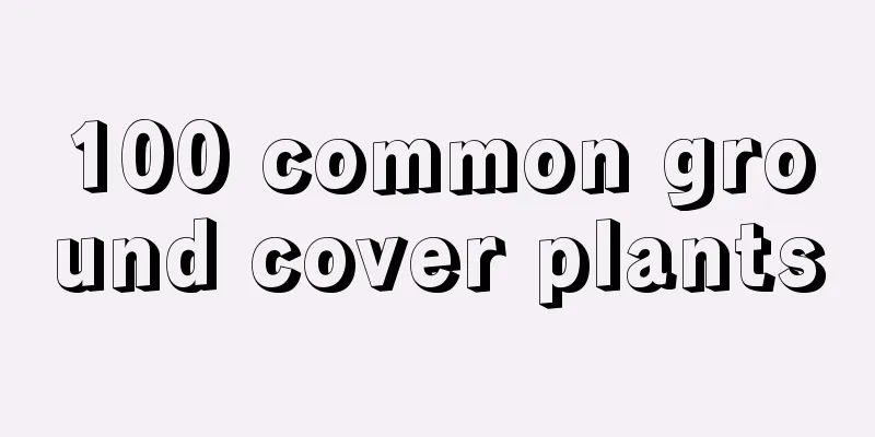 100 common ground cover plants