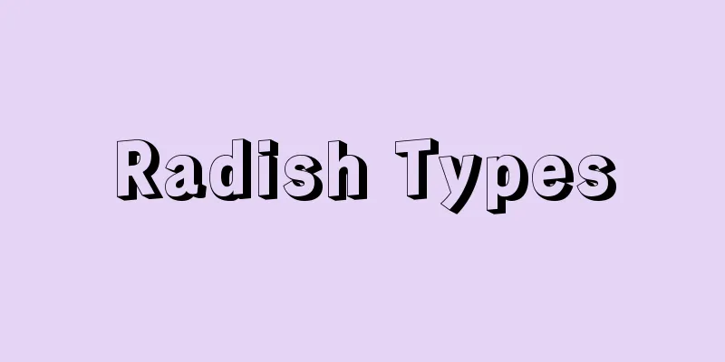 Radish Types