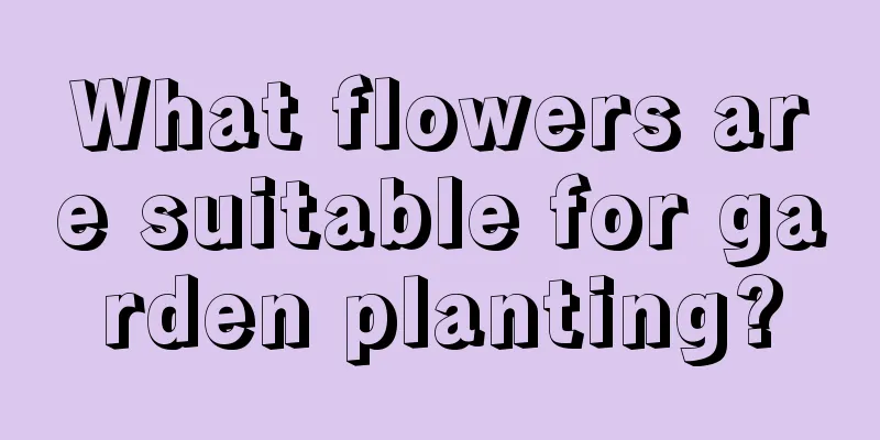 What flowers are suitable for garden planting?