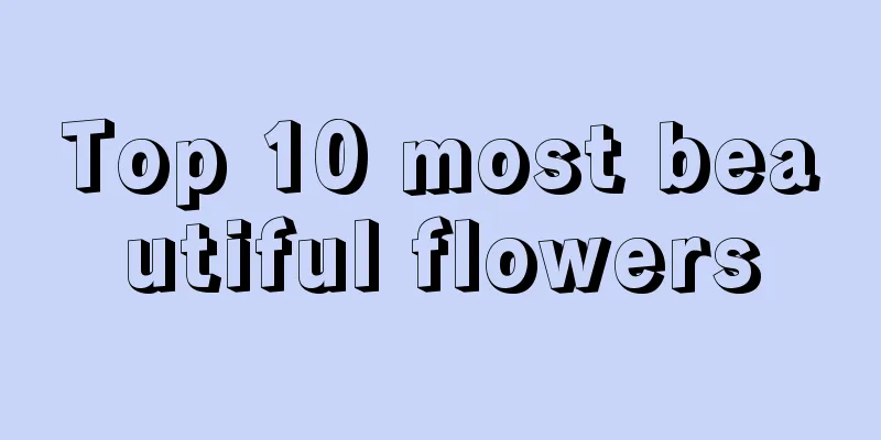 Top 10 most beautiful flowers