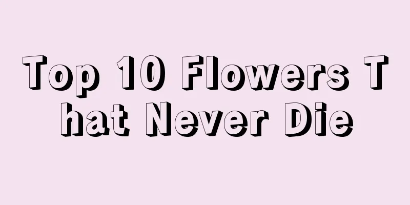 Top 10 Flowers That Never Die