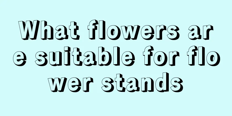 What flowers are suitable for flower stands