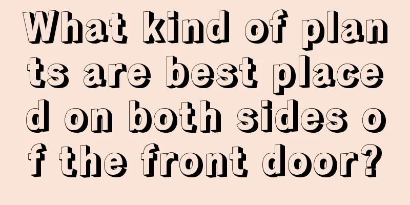 What kind of plants are best placed on both sides of the front door?