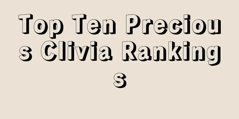 Top Ten Precious Clivia Rankings