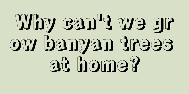 Why can't we grow banyan trees at home?