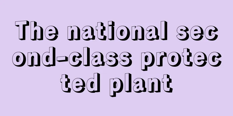 The national second-class protected plant