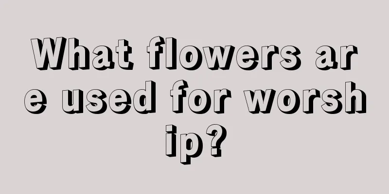 What flowers are used for worship?