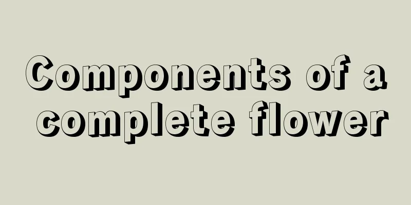 Components of a complete flower