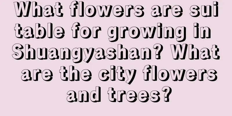 What flowers are suitable for growing in Shuangyashan? What are the city flowers and trees?