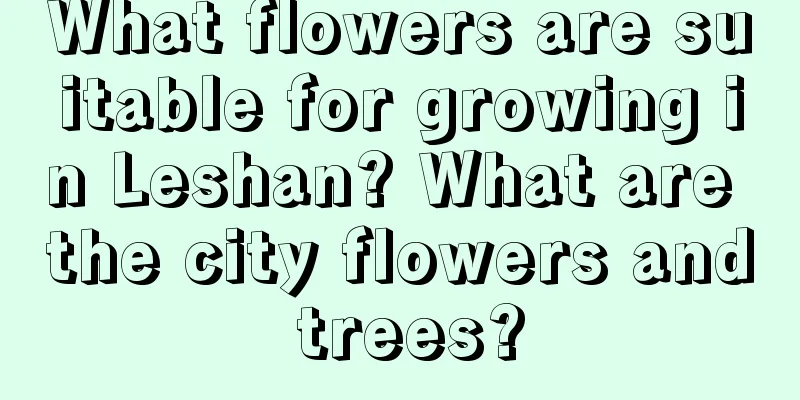 What flowers are suitable for growing in Leshan? What are the city flowers and trees?