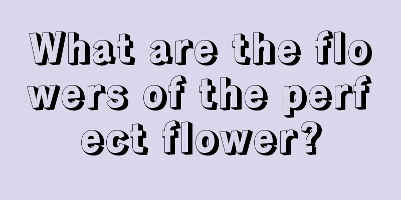 What are the flowers of the perfect flower?