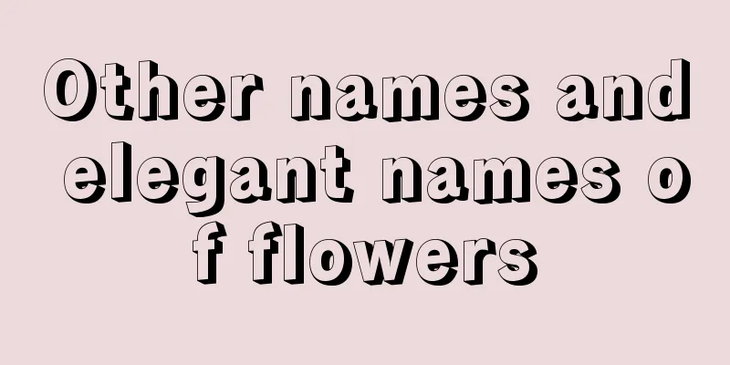 Other names and elegant names of flowers