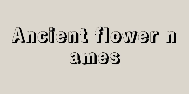 Ancient flower names