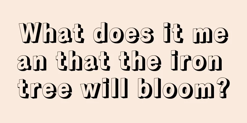 What does it mean that the iron tree will bloom?