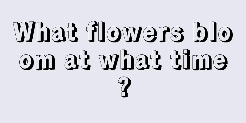 What flowers bloom at what time?