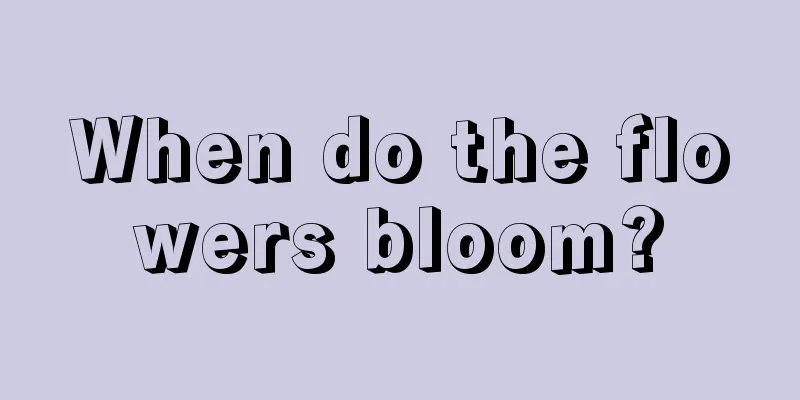 When do the flowers bloom?