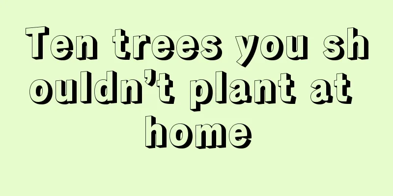 Ten trees you shouldn’t plant at home