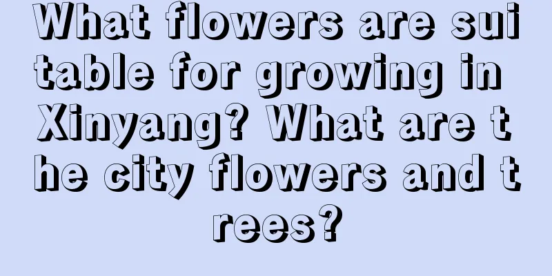 What flowers are suitable for growing in Xinyang? What are the city flowers and trees?