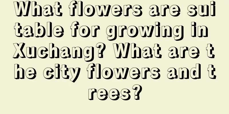 What flowers are suitable for growing in Xuchang? What are the city flowers and trees?