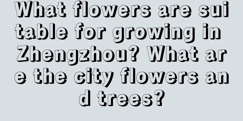 What flowers are suitable for growing in Zhengzhou? What are the city flowers and trees?