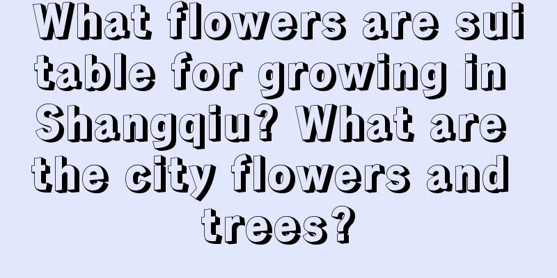 What flowers are suitable for growing in Shangqiu? What are the city flowers and trees?